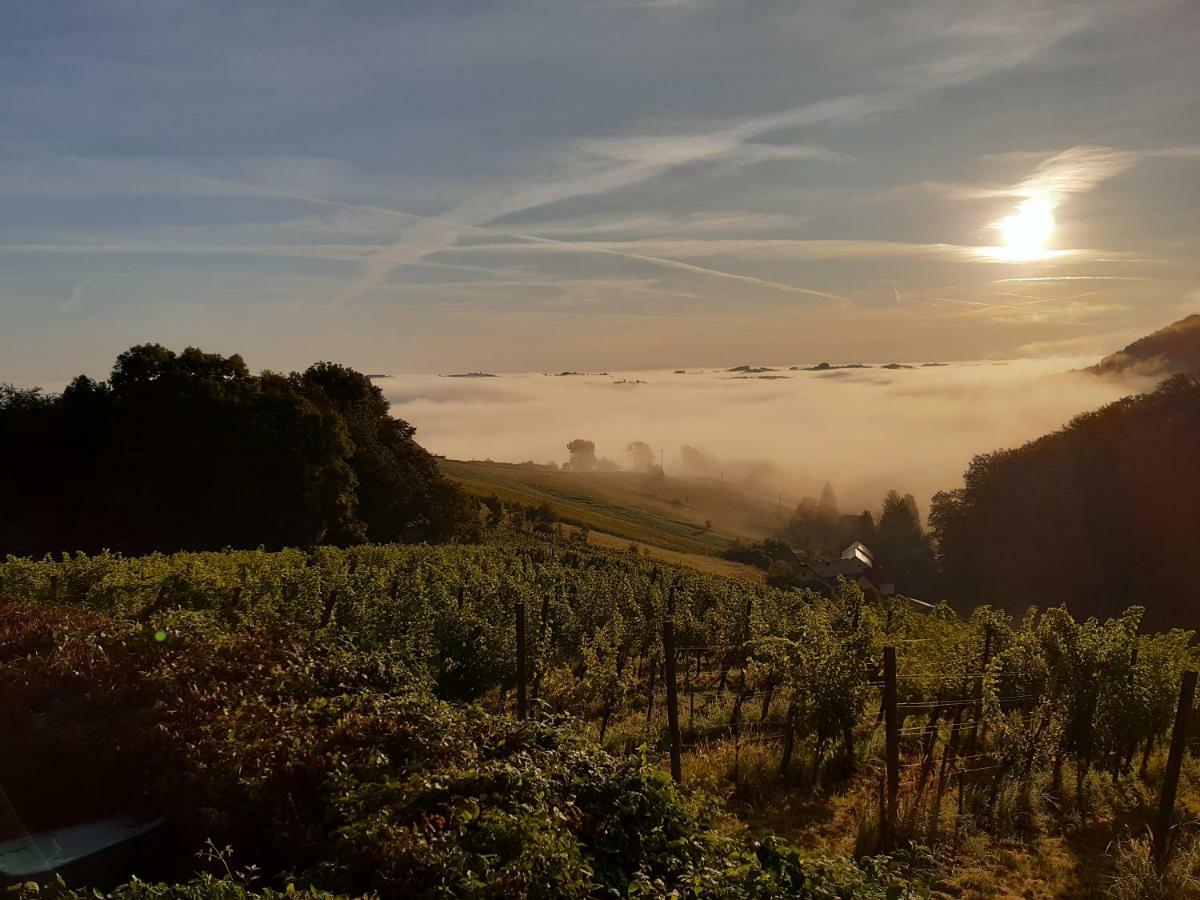 Sunrise Home Maribor Zewnętrze zdjęcie